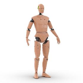 Male Crash Test Dummy Rigged 3D Model